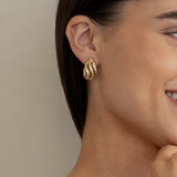 Conch Earrings